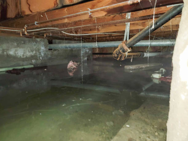 Best Commercial water damage restoration  in Scottdale, GA