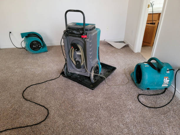 Best Mold removal after water damage  in Scottdale, GA