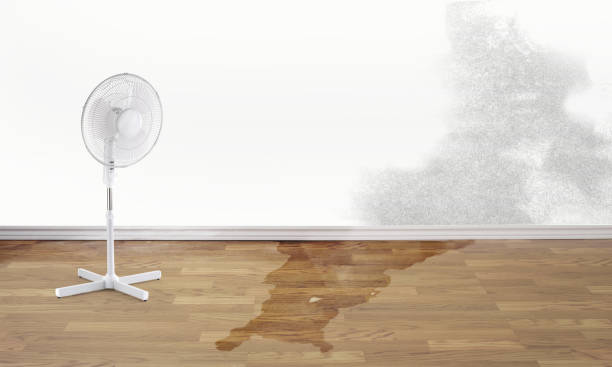 Water damage restoration insurance claims in GA