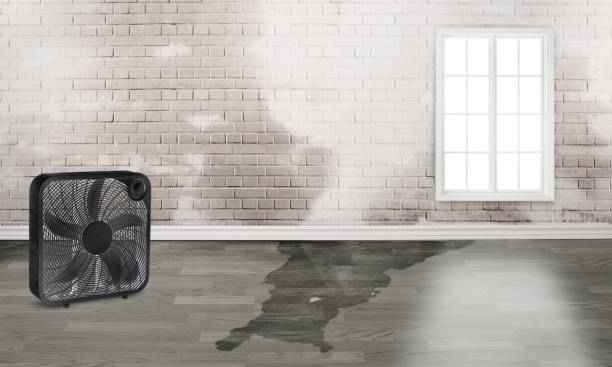 Best 24/7 water damage repair  in Scottdale, GA