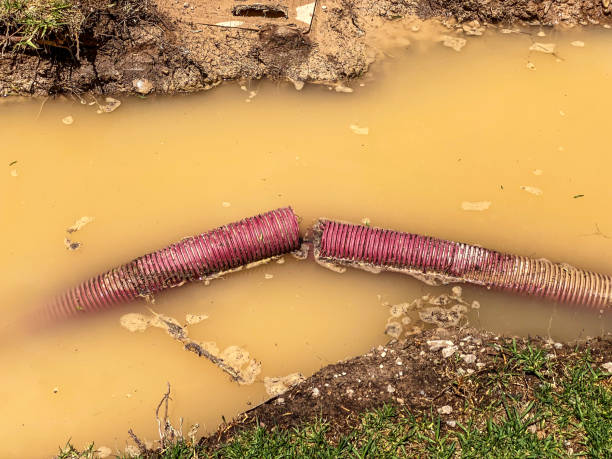 Best Carpet water damage restoration  in Scottdale, GA